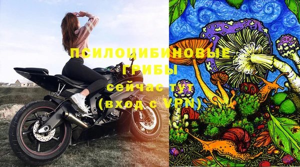 СК Лихославль