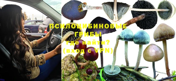 СК Лихославль
