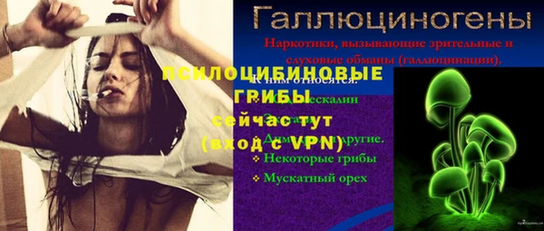СК Лихославль