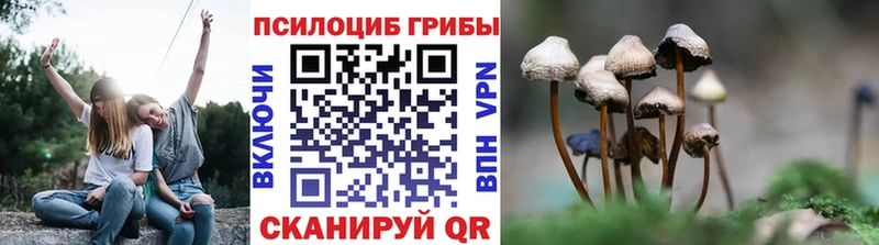 Псилоцибиновые грибы прущие грибы Щигры